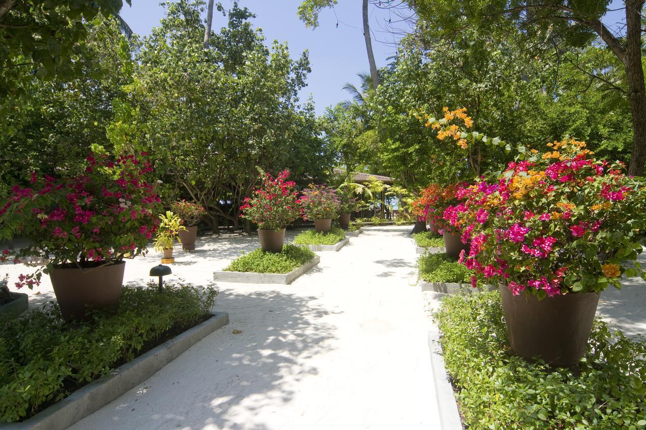 Embudu Village Resort Embudu Island Exterior foto