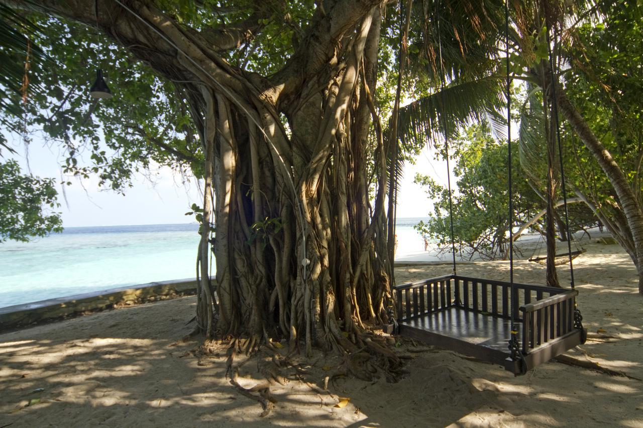 Embudu Village Resort Embudu Island Exterior foto